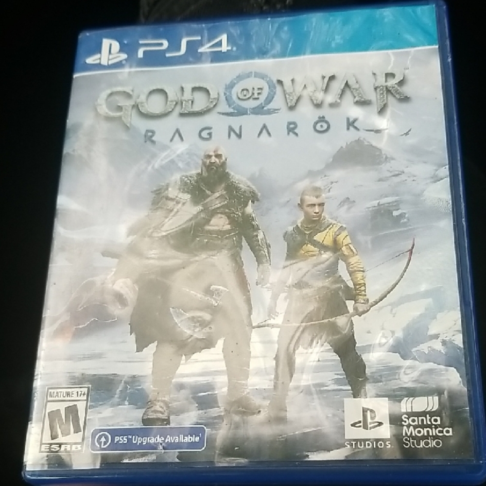 Sony PS4 God of War Ragnarök - Blue Case